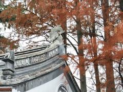 -汇龙潭