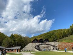 -云岭野山参风景区