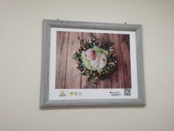 点击看大图 -菁幼月子会所(儿童医院店)