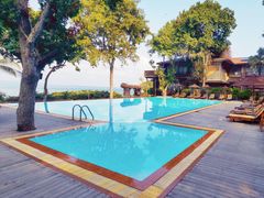 -卷心菜和避孕套餐厅(Pattaya)