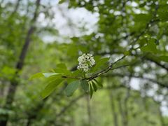 -峡谷浮石林景区