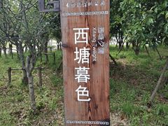 -长田漾湿地公园