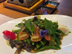-雀舞云南菜(乐客城店)