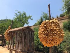 -梁家河村红色旅游区