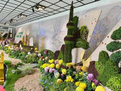 -杭州植物园