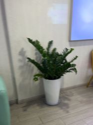 -安徽合肥韩美整形外科医院