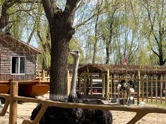 -白渔泡湿地公园