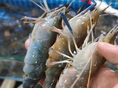 -王四营海鲜市场