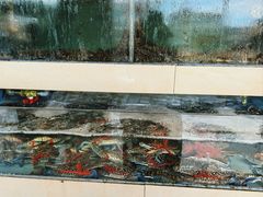 -原龙海鲜大排档(美食地标店)