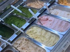 -鹤茶野所(上海首店)