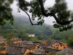 -杨家堂村