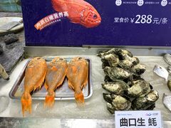 -欢乐海岸美食联盟