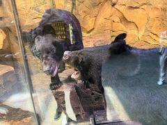 -波塞冬旅游度假区