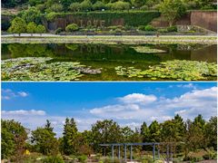 -上海辰山植物园