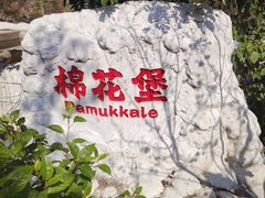 -清境桃源