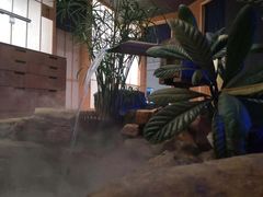 -和枫(众意路店)