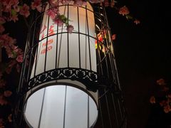 -风波庄(云蝠大厦店)