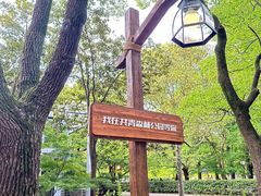 -上海共青森林公园