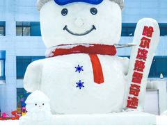 -哈尔滨热雪奇迹