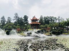 -四川大学(望江校区)