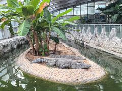 -石家庄市动物园