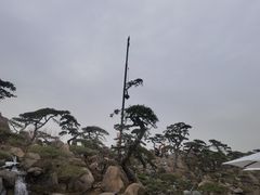 -罗红摄影艺术馆