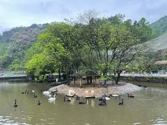 -黔灵山公园