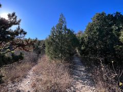 -北京西山国家森林公园