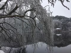 -庐山风景区花径公园