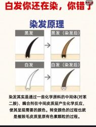 -Bollins波林丝•专研护发中心