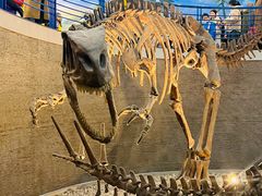 -国家自然博物馆