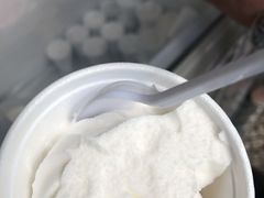 -洪馨椰子
