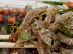 -陈添記·祖傳爽鱼皮·西关老字号(广州首店)
