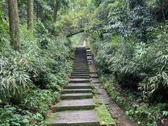 -缙云山景区