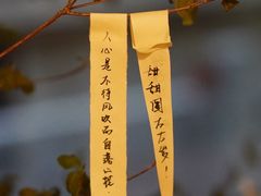 -竹子咖啡bamboo coffee