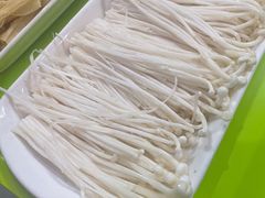 -15年老字号鑫鑫猪肚鸡·椰子鸡海南火锅(兴隆华侨农场店)