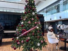 -奔驰上海利星(七宝店)