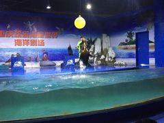 -重庆欢乐海底世界