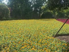 -上海市龙华烈士陵园