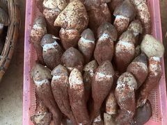 -云南木水花野生菌交易中心