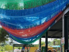 -芦仙山景区-飞越丛林探险乐园