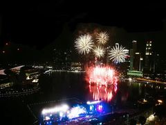 -新加坡丽思卡尔顿美年酒店