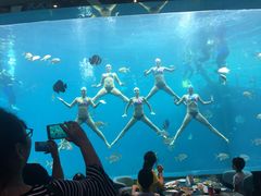-瑞德姆美人鱼海底演艺主题餐厅(亚龙湾店)