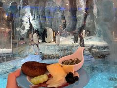 -帝企鹅自助餐厅•儿童岛•真企鹅(长隆企鹅酒店)