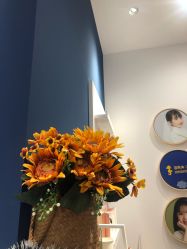 -海马体家庭照相馆(杭州远洋乐堤港店)