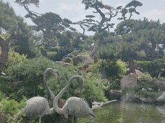 -罗红摄影艺术馆