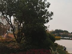 -海珠湖公园