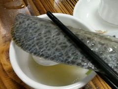-鸭嘴鱼