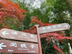 -岳麓山风景名胜区