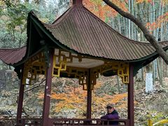 -莫干山风景区